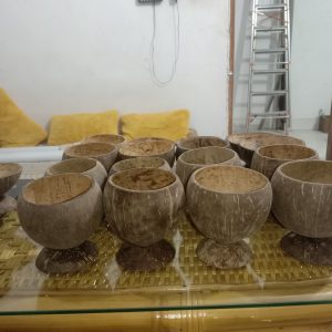 Coconut Shell Planter